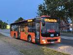 MAN Lion's City LE � der MVVG in Sietow.