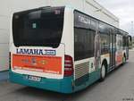 Mercedes Citaro II der Neubrandenburger Verkehrsbetriebe in Neubrandenburg.