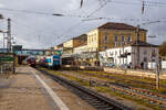 Regensburg Hauptbahnhof am 24.11.2022, links auf Gleis 4 Bombardier  RegioSwinger  (Dieseltriebwagen mit Neigetechnik) 612 481 / 612 981 als RE 40 nach Nürnberg Hbf zur Abfahrt bereit, auf Gleis 3 stehen die alex 223 069 und die alex 183 005 und warten auf die nächsten alex Züge nach Schwandorf  bzw. München. Bei den alex-Zügen (RE 25) findet im Hbf Regensburg ein Lokwechsel statt, von und nach München wird elektrisch mit einer 183er gefahren, Züge von bzw. nach Schwandorf und weiter bis/ab Plzeň (Pilsen) werden mit Dieselloks der BR 223 gefahren.

Der Regensburg Hauptbahnhof, ist der größte Bahnhof der Stadt Regensburg. Das heutige Empfangsgebäude wurde 1892 fertig gestellt und ersetzte einen etwas südlicher gelegenen Vorgängerbau, der 1859 im Zuge der ersten Bahnanbindung der Stadt errichtet worden war.

Der Regensburger Hauptbahnhof befindet sich am südlichen Rand der Altstadt. Seit dem Umbau 2004 ist der Ausgang nicht nur nach Norden zur Altstadt, sondern auch nach Süden zur Passage des Einkaufszentrums Regensburg Arcaden. Fußläufig sind auch die südlichen Stadtteile erreichbar. 

Der Ausgang nach Norden führt zur Altstadt und zum Busbahnhof und ist nicht weit entfernt vom Schlosspark des Schlosses Thurn und Taxis, der aber nicht frei zugänglich ist. 

In Regensburg treffen sich die Strecken:
    München–Regensburg (KBS 930)
    Nürnberg–Regensburg (KBS 880)
    Regensburg–Weiden (KBS 855)
    Regensburg–Ingolstadt (KBS 993)
