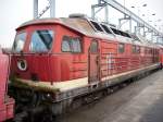 232 590-0 ex.Bh Saalfeld am 24.Januar 2009 in Mukran West.