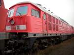 232 496-0 ex.Bh Rostock Seehafen am 24.Januar 2009 in Mukran West.Zur Verschrottung am 23.Mrz abgefahren.