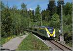 Die  Dreiseenbahn  im Schwarzwald ist weitherum bekannt; doch welche drei See sind da gemeint? Titisee und Schluchsee fallen raschen ein doch der dritte See...