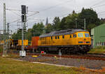 Die 233 493-6  „TIGER“ (92 80 1233 493-6 D-DB) bzw.