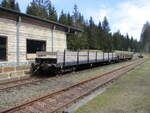 Zwei Res,am 05.April 2025,mitten im Th�ringer Wald im Bahnhof Rennsteig.