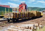 Beladener vierachsiger Drehgestell-Flachwagen (Holzwaggon) mit Niederbindeeinrichtung (Ladungssicherungssystem „Autonordic“) und Rungensystem ExTe (SR8), 81 80 4723 525-9 D-TWA, der