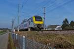 Desiro 08532 der SNCB als Shuttle, pendelt im Stundentakt Ettelbrück und Luxemburg hin und her, Reisende die nach Lüttich wollen müssen in Ettelbrück den Bus bis nach Clervaux