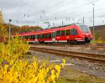 
Motiv herbstlich verdeckt - Zwei gekuppelte 4-teilige Bombardier Talent 2 (BR 442 / 443) der DB Regio NRW erreichen bald (am 07.11.2015), als RE 9 (rsx - Rhein-Sieg-Express) Siegen - Köln - Aachen, den Bahnhof Betzdorf/Sieg.