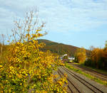   Goldener Oktober im Hellertal - Der VT 505 (95 80 1648 105-2 D-HEB / 95 80 1648 605-1 D-HEB) der HLB (Hessische Landesbahn GmbH), ein Alstom Coradia LINT 41 der neuen Generation, erreicht am