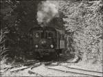. Museumsbahn Train 1900 - Dampfzug im Wald. 02.06.2013 (Hans)