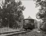 . Museumsbahn Train 1900 - Uerdinger im Gegenlicht. 02.06.2013 (Jeanny)