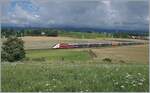 Der TGV Lyria 9768 von Lausanne nach Paris Gare de Lyon kurz nach Satigny.