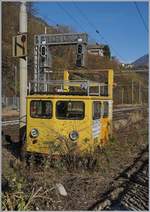 Und noch ein drittes gelbes Ding gab es in Preglia zu sehen: den WAAIS MI 1779U.