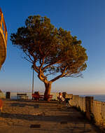diverses/791110/auch-diese-bank-ist-nicht-zu Auch diese Bank ist nicht zu nahe am Abgrund....
Riomaggiore (Cinque Terre) am 21.07.2022 kurz vor 20:00 Uhr, hier oben wollen wir den Sonnenuntergang beobachten.
