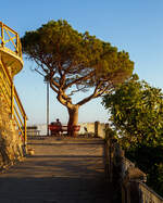 Die Bank am Baum ist erreicht....
Riomaggiore (Cinque Terre) am 21.07.2022 kurz vor 20:00 Uhr, hier oben wollen wir den Sonnenuntergang beobachten.
