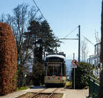 Der Triebwagen 502, ein dreiteiliger vierachsiger Zweirichtungs-Niederflur-Gelenktriebwagen vom Typ Bombardier „Mountainrunner“ verl�sst am 04 April 2025 die Bergstation P�stlingberg (519