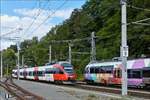 Das Pech eines Bahnfotografen, da hat man einen schönen Motiv vor der Linse, zudem eine freie Fotostelle, aber dann wird das betreffende Objekt von einem andern Zug zugefahren, dies ist mir am