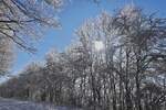 Winter Impressionen an der Straße Schummanseck nach Pommerloch, Raureif glänzt an den Hecken und Sträucher entlang der Straße bei herrlichem Wanderwetter, Sonnenschein und blauem Himmel. 20.01.2024