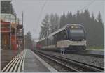 Da das Bahnhofsgebäude von Les Pléiades renoviert wird, verkehren die Züge zur Zeit ab Gleis 2 statt Gleis 1.