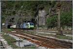 Gerade zu genial hingegen zeigen sich die Fotografie Möglichkeiten in der Gegenrichtung: Die BLS Re 485 und eine Re 475/193 an der Spitze eines Güterzug verlassen den 169 langen Tunnel