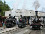 40 Jahre Blonay Chamby -Pfingstfestival 2008: Noch eine kleine Fahrzeugparade in Chaulin:   von Links nach Rechts: Die SEG G 2x 2/2 105 (1918), in der Mitte die LEB G 3/3 N° 8 (1910) und die