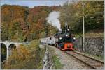 Die Blonay-Chamby G 2x 2/2 105 nimmt mit einem aus Wagen verschieden Bahngesellschaften zusammengestellten, aber doch einheitlich erscheinenden Reisezug bei Vers Chez Robert die Steigung nach Chamby