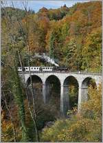 Die Blonay-Chamby G 2x 2/2 105 erreicht mit einem aus Wagen verschieden Bahngesellschaften zusammengestellten, aber doch einheitlich erscheinenden Reisezug den Baye de Clarens Viadukt.