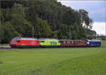 Grosses BoBo-Treffen in Balsthal: 60 Jahre Re 4/4 II in der Schweiz. 

Der Fotozug zur Gesamtschau wird nun zusammengestellt, von vorne nach hinten sind im Zug zusammengestellt: Re 460 058 (SBB), Re 465 011 (BLS), Ae 4/4 251 (BLS), Re 4/4 183 (BLS) und Re 450 012 (S-Bahn). Oensingen, September 2024.