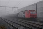 Der Jurasüdfuss-Nebel ist wirklich verdriesslich, besonders, wenn er sogar in die Juratäler schleicht... 
In der Klus ist die Re 456 095 mit drei 1.Klasse ex DB / heute  Swiss Train Bleu  Wagen und weiteren vom Nebe verborgenen Fahrzeugen abgestellt. 
Ganz links im Bild die auf dieser Seite bereits angesprochene  Fotografenkanzel  zu sehen. 

8. Nov. 2025

