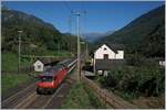 Die meisten  Gotthard  IR wurden von den formschönen Re 4/4 II befördert, doch hin und wieder, am Wochenende auch öfters, kammen Re 460 zum Einstaz, wie dieses Bild aus Giornico zeigt.
7. Sept. 2016