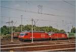 Die SBB Re 460 wurden als Universallok geplant und gebaut und anfangs auch als solche eingesetzt: Die SBB Re 460 116-7 und eine weitere warten in Weil am Rhein mit einem Güterzug auf die Abfahrt. 

ein Analogbild vom Herbst 2003