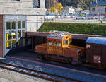 
Zum Mega Bernina Festival (50 Jahre Blonay Chamby) konnte man sie im Herbst 2018, im ursprünglichen rotbraun,  bei der Museumsbahn Blonay Chamby sehen, nun ist sie wieder bei der Berninabahn in Poschiavo.
Das RhB  Eselchen  161 bzw. der Rangiertraktor RhB Ge 2/2 161, ex BB Ge 2/2 61 steht am 02.11.2019 in Poschiavo.

Von der kleinen Elektrolokomotive Ge 2/2 wurden nur zwei Loks von diesem Typ für Berninabahn (BB), heute der Rhätischen Bahn (RhB), gebaut, ursprünglich die BB 6 und BB 62, seit 1961 mit den Nummern RhB 161 und 162. Für das Mega Bernina Festival der Museumsbahn Blonay Chamby wurde im Juli 2018 die 161 wieder in die ursprüngliche Farbgebung der Berninabahn in „braun“ um lackiert und erhielt einen Scherenstromabnehmer. Leider hat sie nun wieder einen Einholmstromabnehmer.