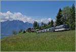 Die MOB Ge 4/4 8004 ist mit dem Golden Pass Express GPX 4074 von Montreux nach Interlaken Ost bei Les Avants unterwegs, seit kurzem zeigt sich der GPX auf der Schmalspur nun fünfteilig, der Grund