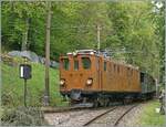 Nostalgie & Vapeur 2021  /  Nostalgie & Dampf 2021  - so das Thema des diesjährigen Pfingstfestivals der Blonay-Chamby Bahn.