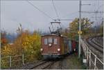  LA DER 2020 du Blonay-Chamby  / Saison Abschluss der Blonay-Chamby Bahn: Mit einem verstärkten Fahrplan und viel Dampf wird vor dem  Winterschlaf  nochmals viel Betrieb gemacht.