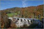 La DER de la Saison / Das Saison Ende der Blonay Chamby Bahn 2024 - Ein Blick auf das Baye de Clarens Viadukt, bei welchem die Sanierung nun schon weit fortgeschritten ist. Es wird interessant sein wie sich das Viadukt bei der Saison Eröffnung 2025 präsentieren wird. 

27. Okt. 2024