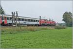 Gleich nach den beidne Dieseloks ist - soweit ich erkennen kann - ein 1. Klasse Eurofima Wagen eingereiht.
Der Zug ist bei Hergatz auf dem Weg nach München. 

11. Sept. 2009