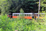 Chemin de Fer Forestier d'Abreschviller : Der zweite heute eingesetzte Zug hat den einstigen WAB-Wagen 35 bei sich; hier fährt dieser Zug in den Rest einer früheren Zweiglinie hinein, um den