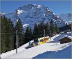 Der BLM Be 4/6 103  Jungfrau  zeigt sich nach Winteregg vor seinem namensgebendne Berg, der Jungfrau (4158 müM). 

18. Februar 2025