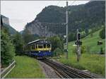 Der BOB ABeh 4/4 313 erreicht mit seinem Regionalzug von Interlaken Ost kommend sein Ziel Lauterbrunnen. 

8. Aug. 2024