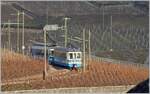 Als die ASD noch Blau war... Durch die Weinberge kurvend, erreicht ein Regionalzug mit dem Bt 434 an der Spitze und einem BDe 4/4 in Kürze sein Ziel Aigle. 

4. Feb. 2011