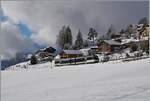 Kurz nach dem Jahreswechsel schneite es und oberhalb von 800 müM zeigte sich ein bezaubernde Winterlandschaft.