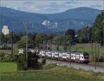 Ein unbekannt gebliebener RABe 511 0xx und RABe 511 120 in Richtung Burgdorf an der Önz bei Bettenhausen.