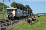 Historische Seethalbahn in Aktion und ein Auflaufunfall.