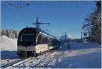 Der CEV MVR ABeh 2/6 7503  Blonay-Chamby  verlässt Les Pléiades Richtung Vevey.