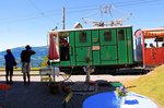 Schynige Platte Bahn: Hübsche Enziane laden zum Kaffee und zu ausserordentlich gutem Kuchen ein.