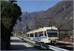 Der FART ABe 4/8 43 als Centovalli-Express N° 43 von Domodossola nach Locarno bei der Durchfahrt in Verscio.