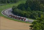 Triebwagen der Frauenfeld-Wil-Bahn ABe 4/8 zwischen Murkart und Lüdem.