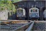  Le Chablais en fête  bei der Blonay Chamby Bahn.