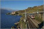 Ein Klassiker aus dem Lavaux: Zwischen Rivaz und St-Saphorin sind zwei SBB RABe 511 von Annemasse nach St-Maurice unterwegs.