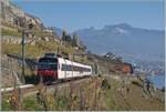 Der SBB RBDe 560 210  Domino  (RBDe 560 DO 94 85 7 210-7 CH-SBB) ist auf der Train de Vignes Strecke auf der Fahrt von Puidoux nach Vevey und zeigt sich nach dem Verlasssen des nur 20 Meter langen Salanfe Tunnel oberhalb von St-Saphorin vor der Kulisse der Riviera Vaudoise.

15. November 2024